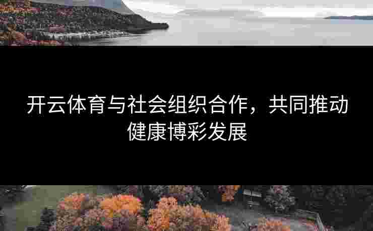 开云体育与社会组织合作，共同推动健康博彩发展