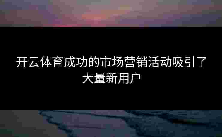 开云体育成功的市场营销活动吸引了大量新用户